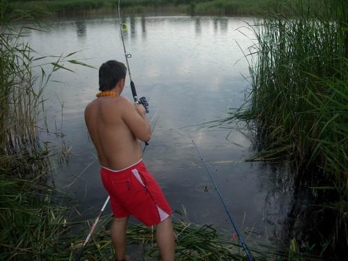 monturi alese - resizeofdscn2038jpg.jpg